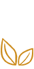 技術優勢